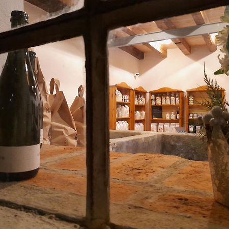 Ferienwohnungen Zwergbachhof Haunsheim エクステリア 写真